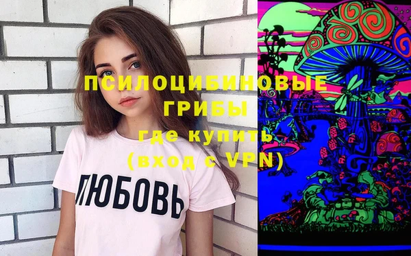 ГАЛЛЮЦИНОГЕННЫЕ ГРИБЫ Наволоки