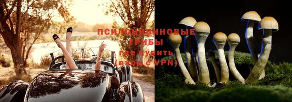 дживик Алзамай