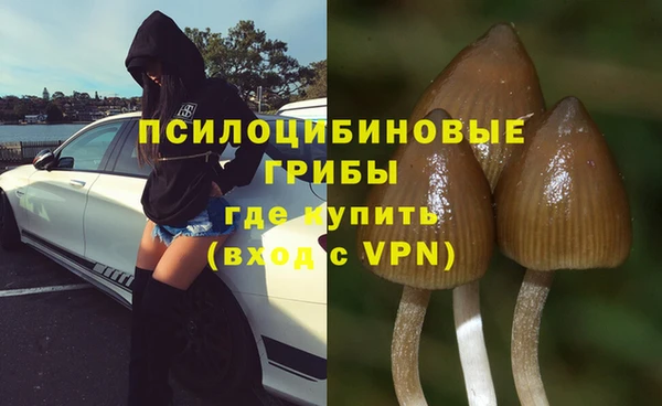 гашик Михайловск