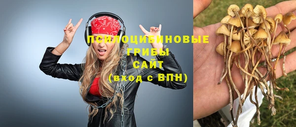СК Алексеевка