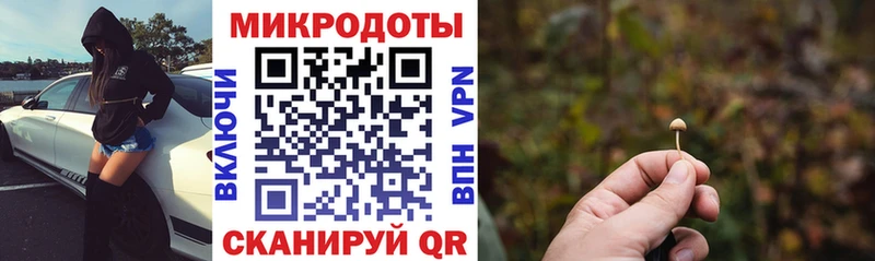 hydra как зайти  Собинка  Псилоцибиновые грибы мицелий 
